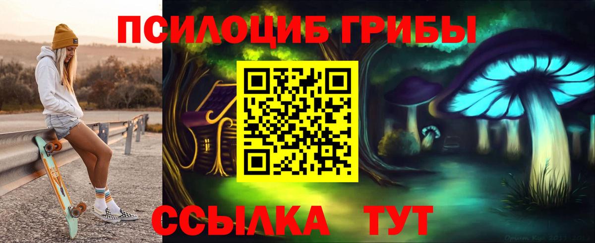 Минусинск  Псилоцибиновые грибы мицелий  Вход с VPN 